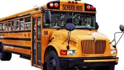 New School Bus Resource Defines Best Practice by Child Age